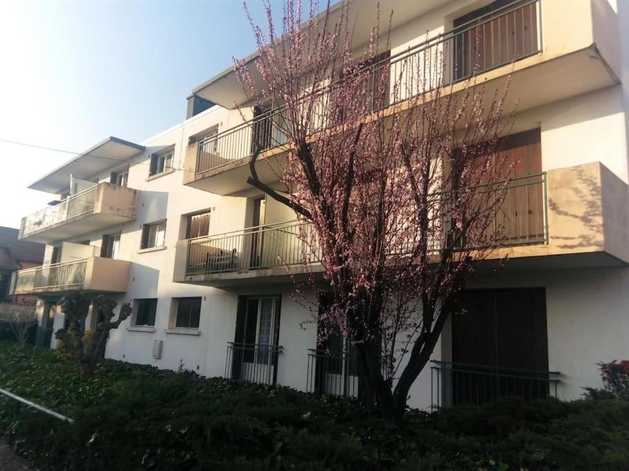 Appartement Avec Balcon Et Parking Prive Roanne Ngoại thất bức ảnh