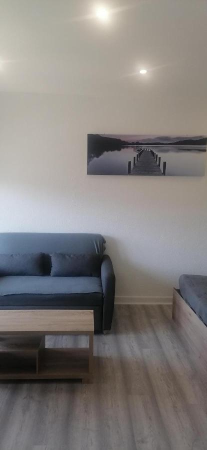 Appartement Avec Balcon Et Parking Prive Roanne Ngoại thất bức ảnh